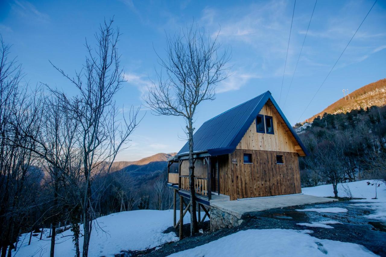 Maksudiye Selale Tatil Koeyue Geyve Exterior foto